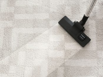 Best Home Carpet Cleaner