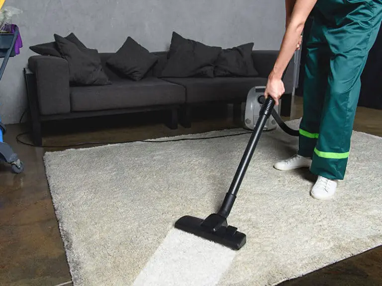 15 Best Portable Spot Cleaners For Carpet Stains Reviews 2024