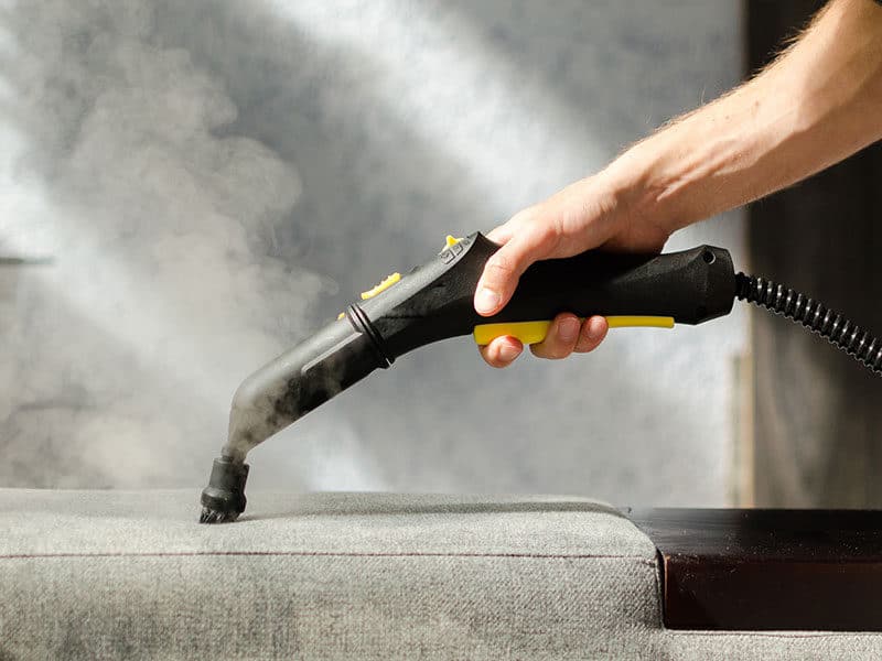 Handheld Steam Cleaner