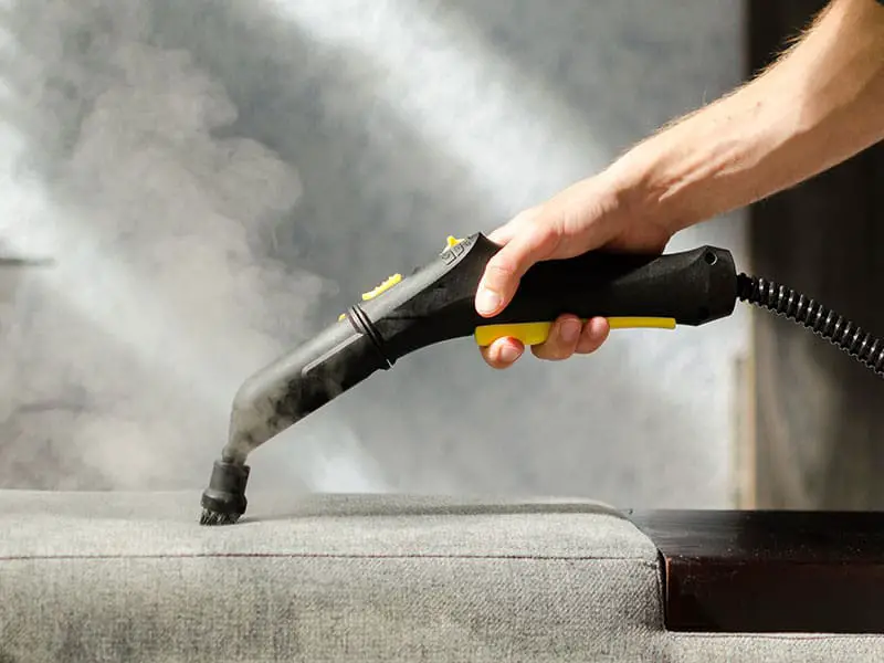 Top 14 Best Handheld Steam Cleaners Reviews 2024