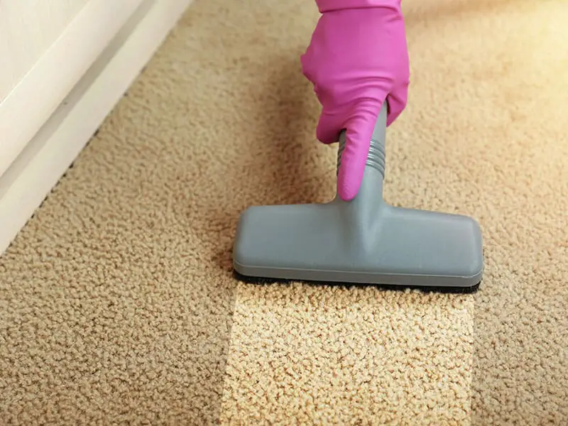 15 Best Portable Spot Cleaners For Carpet Stains Reviews 2024