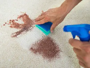Best Carpet Stain Remover
