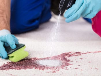 Best Carpet Stain Removers