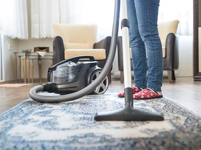 Top 15 Best Canister Vacuum Cleaners For The Money 2025