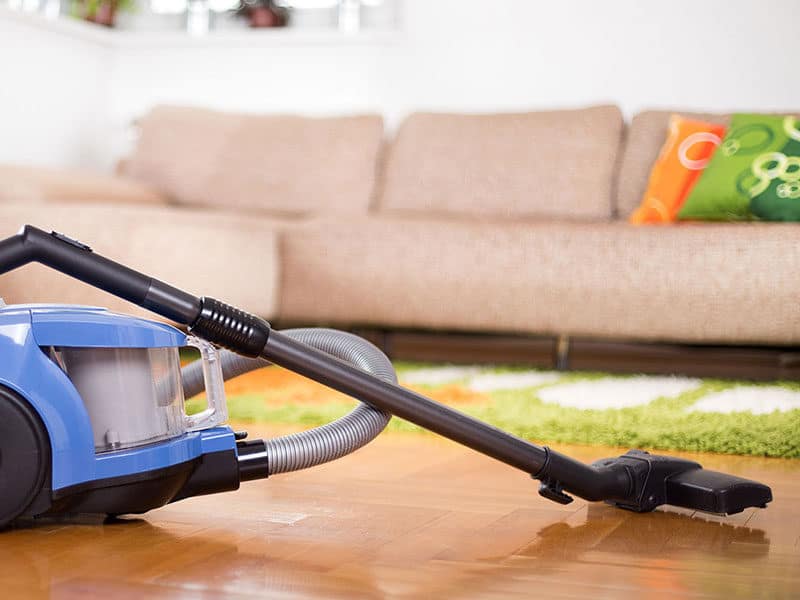 Vacuum for Vinyl Plank Floors