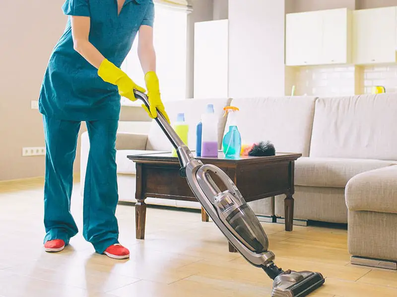 15 Best Bagged Vacuum Cleaner To Buy with Reviews 2024