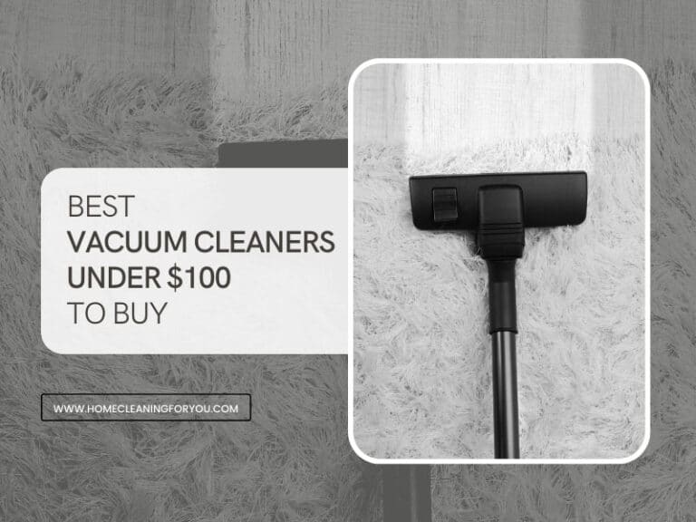 Top 15 Best Vacuum Cleaners Under $100 to Buy 2024