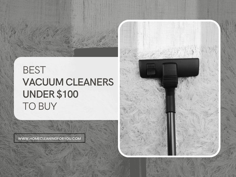 Best Vacuum Cleaner Under 100