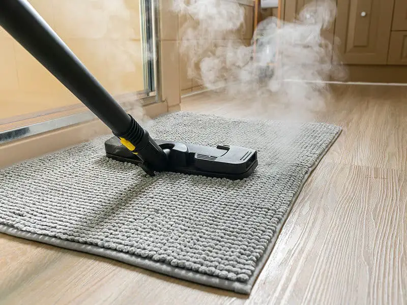 Vacuum and Mop Combo in Carpet