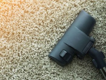 Best Oreck Vacuum Cleaners