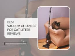 Best Vacuum Cleaners Cat Litter