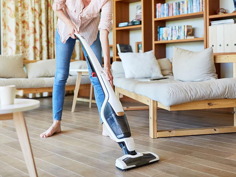 15 Best Multi-Purpose Steam Cleaners (Recommended)