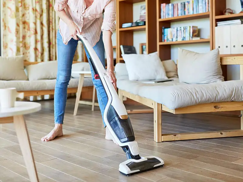 15 Best MultiPurpose Steam Cleaners