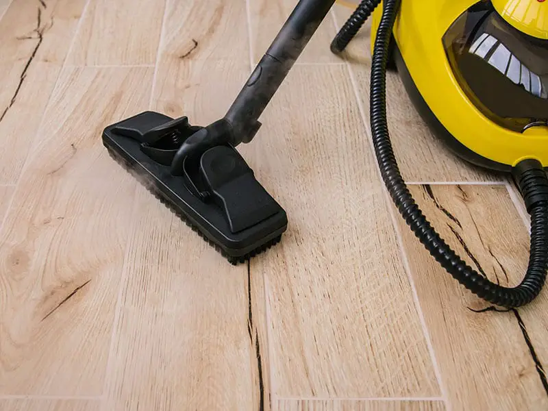 15 Best MultiPurpose Steam Cleaners