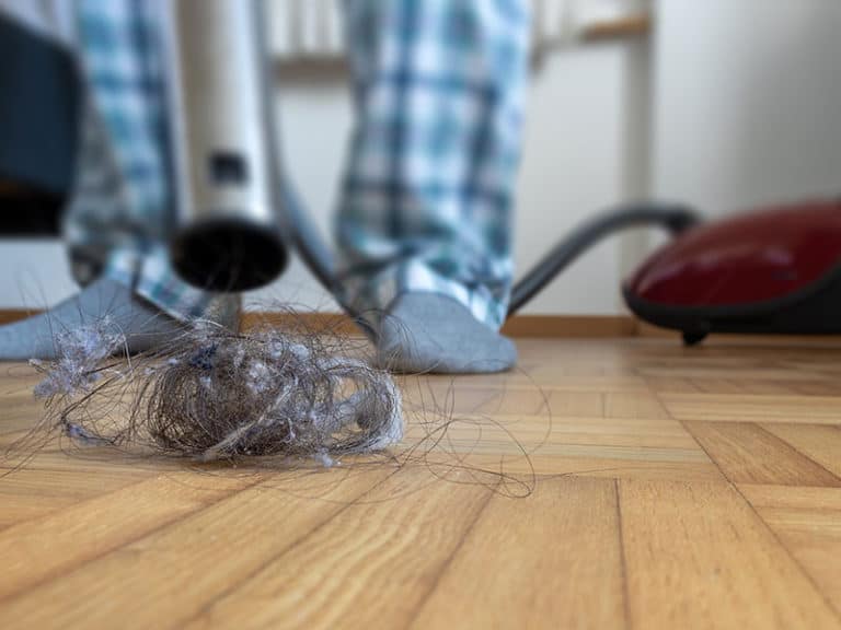 17 Best Vacuums for Long Hair 2024 The Ultimate Guide