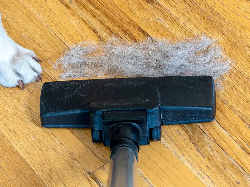 Vacuums for Long Hair 