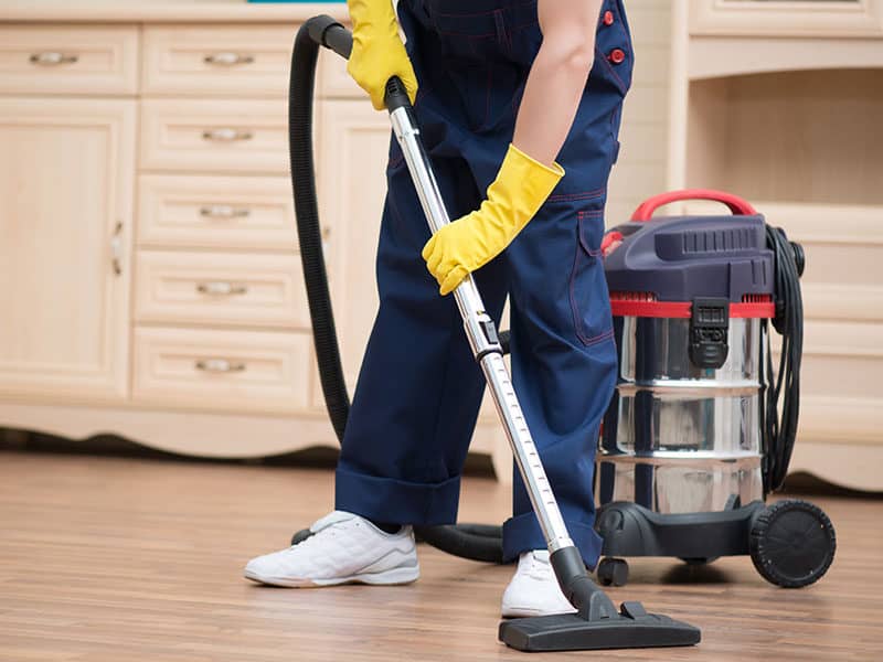 Ash Vacuums Cleaners