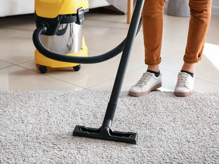 Top 12 Best Ash Vacuum Cleaners For The Money 2024