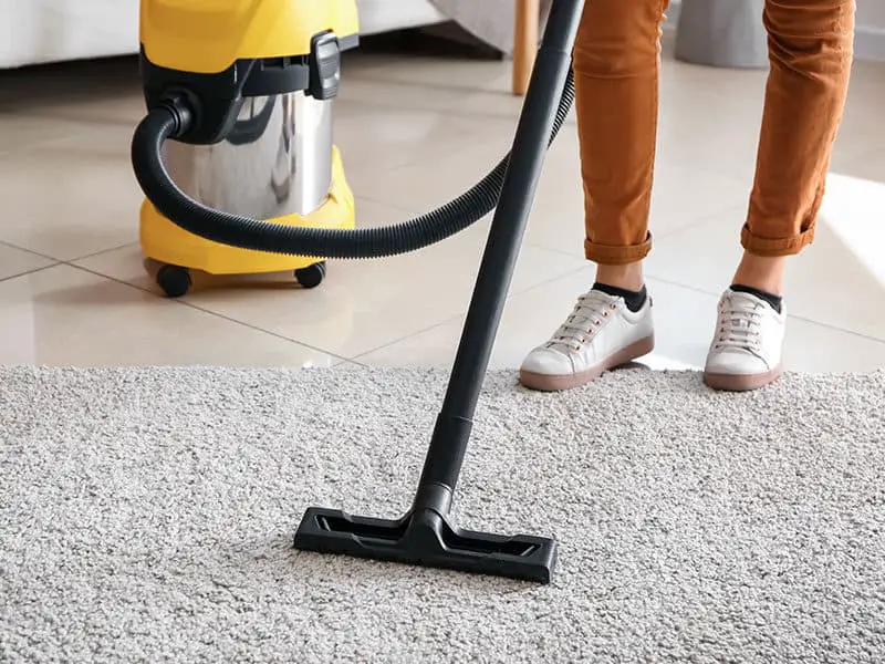 Ash Vacuums Cleaners in Carpet