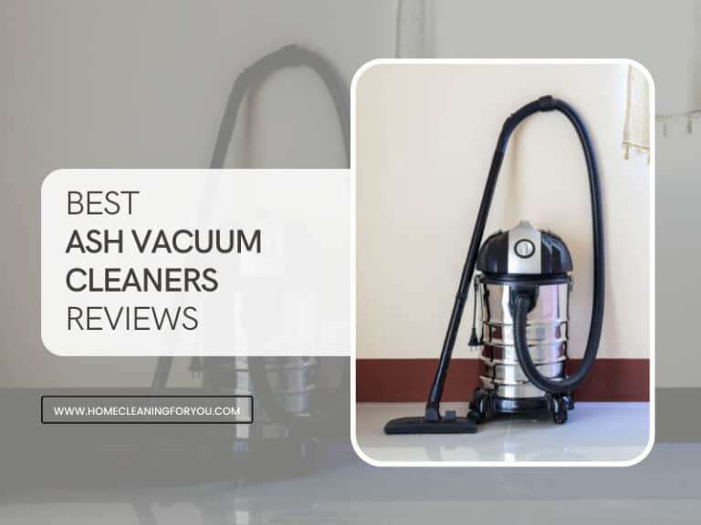 Top 12 Best Ash Vacuum Cleaners Reviews 2022