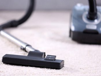Best Canister Vacuum for Carpet