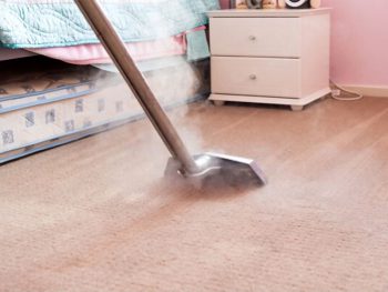 Best Carpet Steam Cleaners