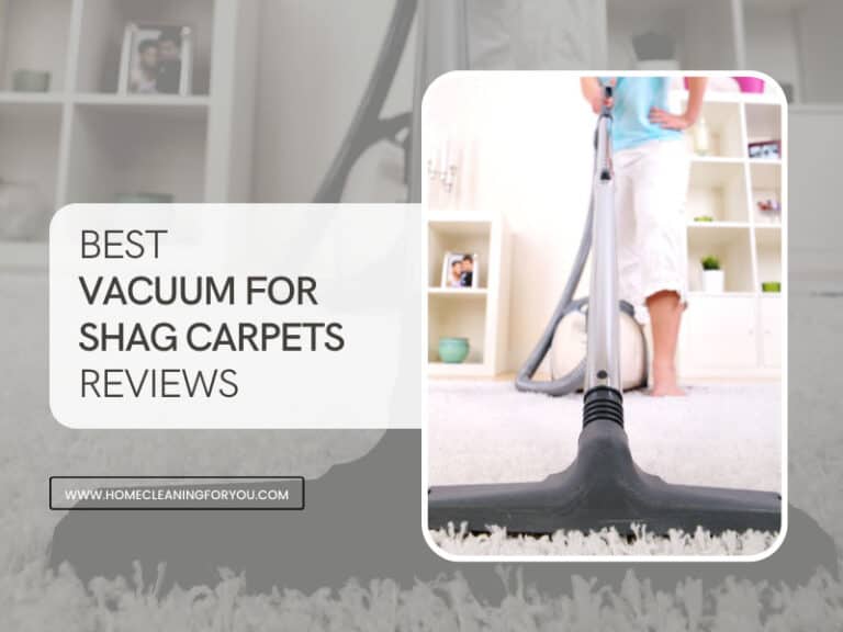 Best Vacuum For Shag Carpets