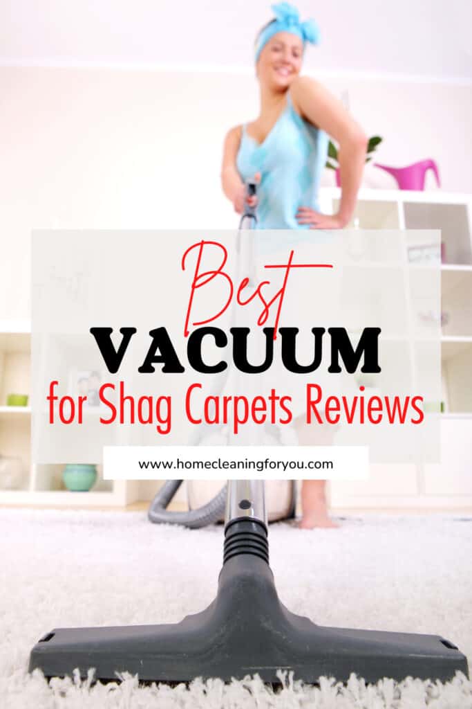 Best Vacuum For Shag Carpets