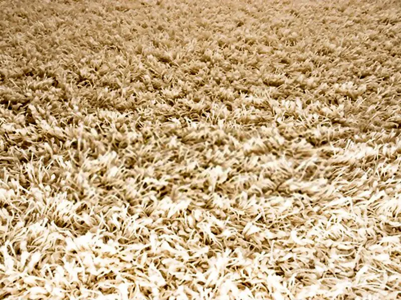 shag carpet
