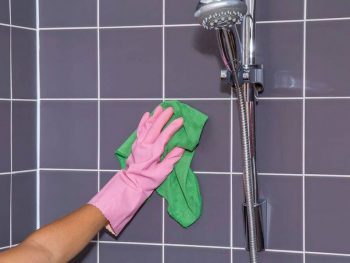 Best Shower Title Cleaners
