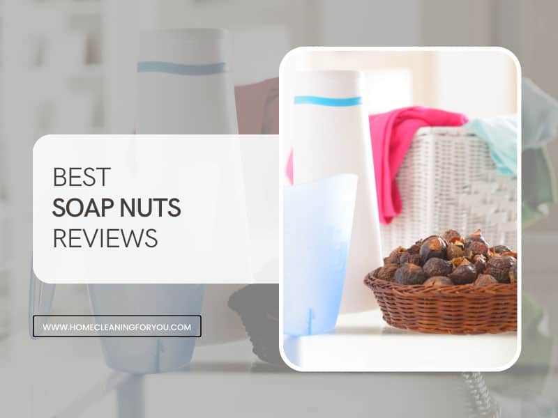 Best Soap Nuts