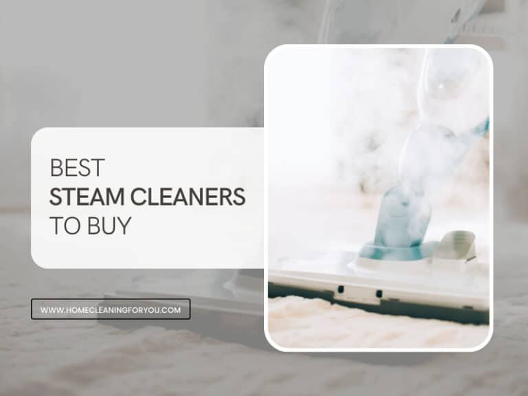 Top 15 Best Steam Cleaners To Buy in 2024