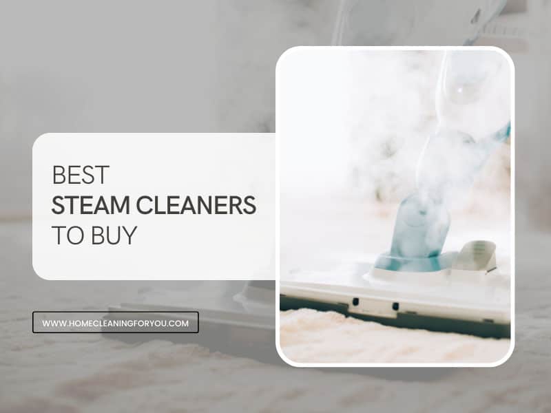 Best Steam Cleaners