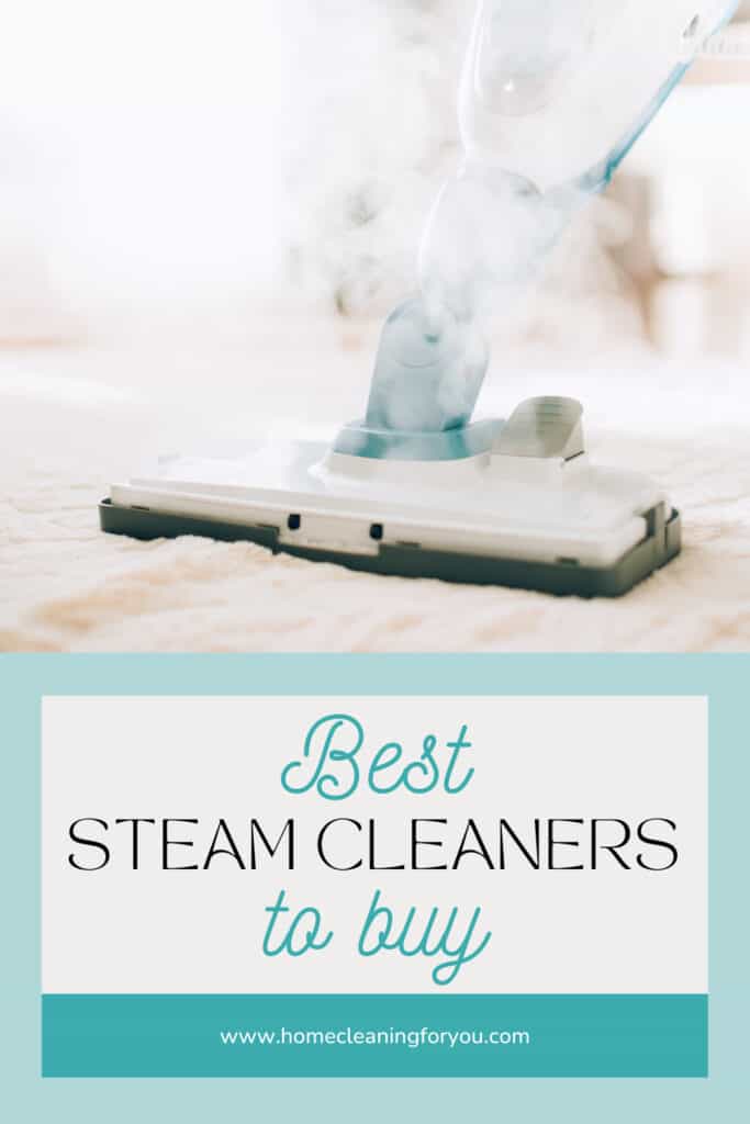 Best Steam Cleaners