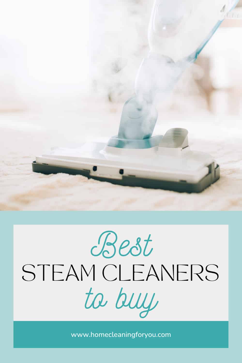 Top 15 Best Steam Cleaners For The Money To Buy 2024