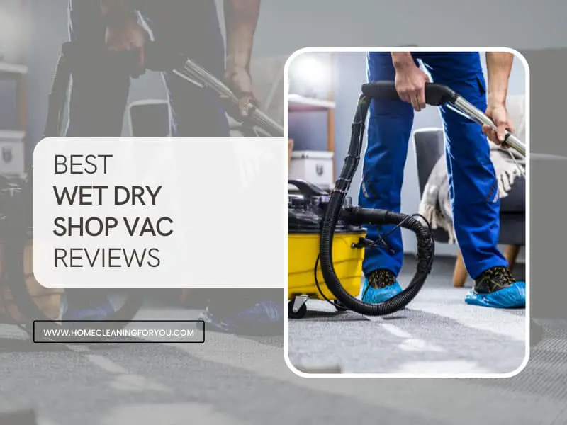 Best Wet Dry Shop Vac