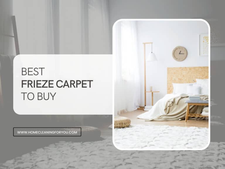 Top 12 Best Frieze Carpet to Buy 2024 – Reviewed