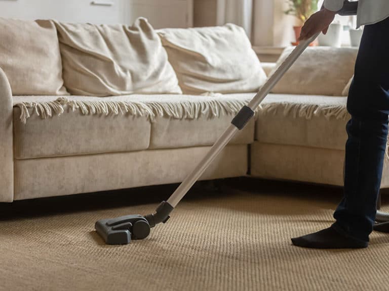 12 Best Quiet Vacuum Cleaners Reviews 2024