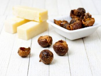 Soap Nuts