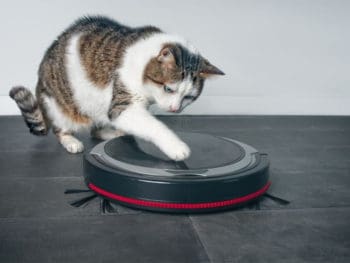 Best Robot Vacuum for Pet Hair