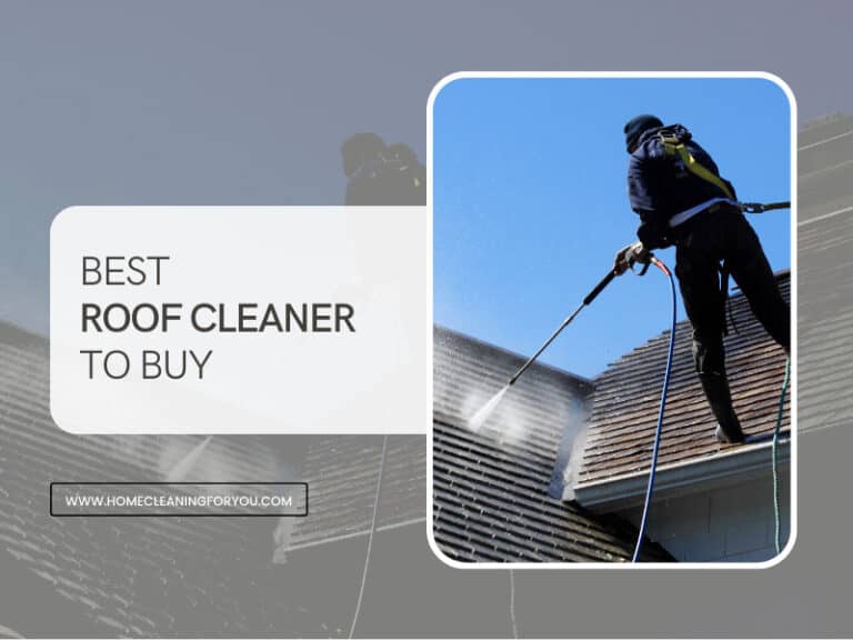 Top 15 Best Roof Cleaner to Buy in 2024