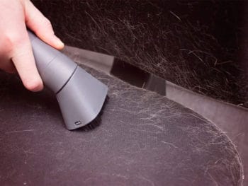 Best Shark Vacuum For Pet Hair