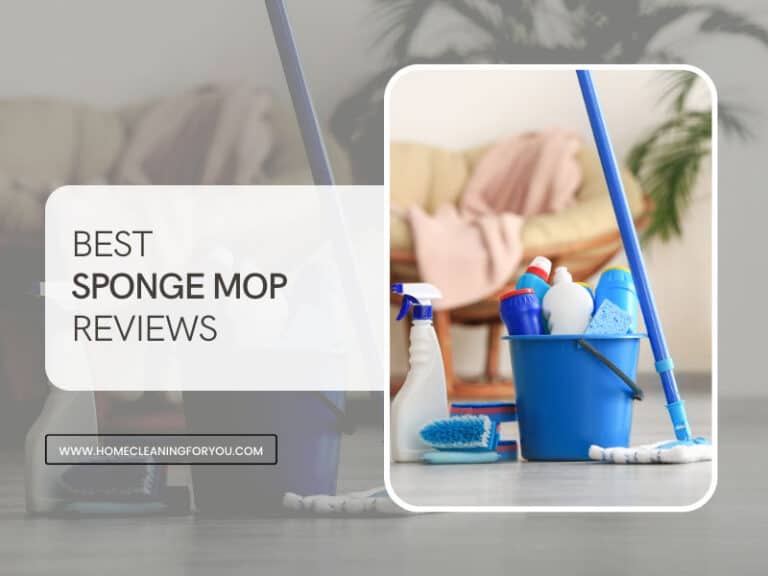 Top 15 Best Sponge Mop Reviews 2024