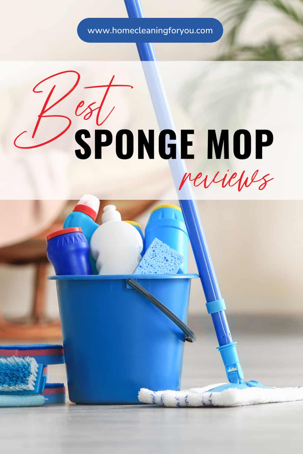 Top 15 Best Sponge Mop Reviews 2024