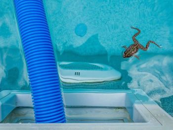 Best Suction Pool Cleaners