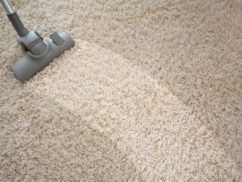 Best Vacuum Cleaner For RV
