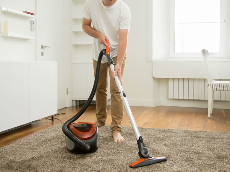 10 Best Vacuum for Smart Strand Silk Carpet For The Money 2024