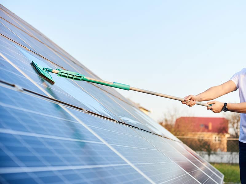 Roof Cleaner