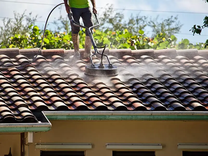 Roof Cleaners