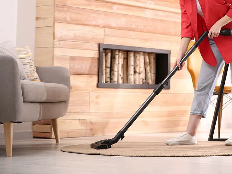Top 15 Best Vacuum Cleaner Under 50 to Buy 2024